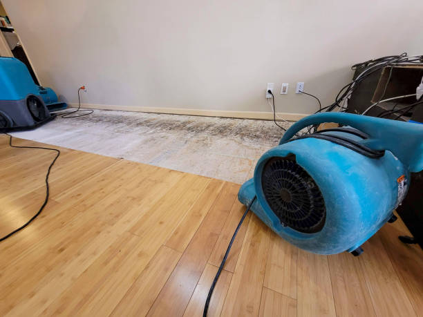 Professional Structural Drying technician working in Elwell, MI
